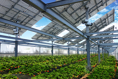 AGRI-SOLAR iPV SMART Farm