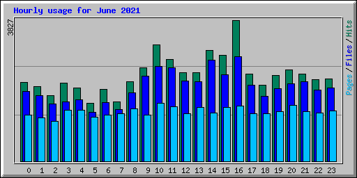 Hourly usage for June 2021